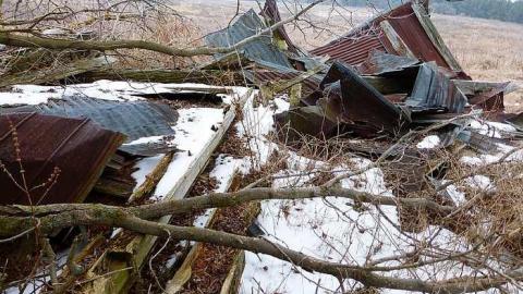 Brannigan's Daughter photo 5