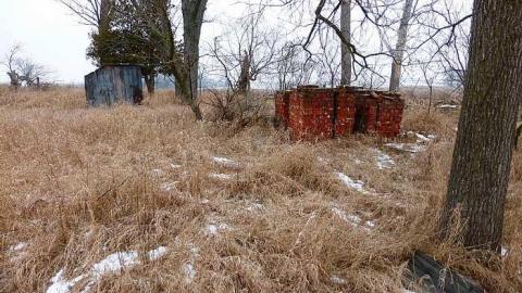 Brannigan - P1050345.jpg