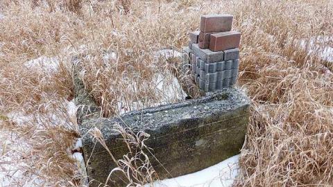 Brannigan - P1050346.jpg