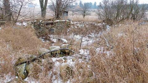 Brannigan - P1050350.jpg