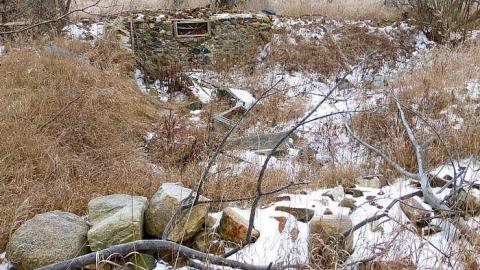 Brannigan - P1050351.jpg