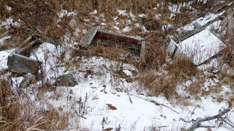 Brannigan - P1050353.jpg