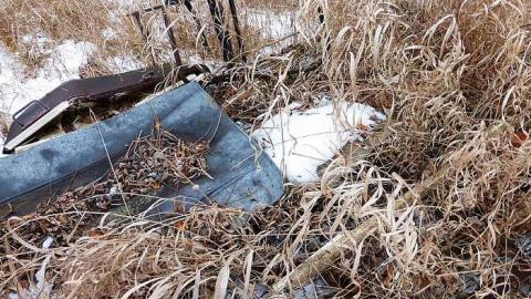 Brannigan - P1050355.jpg