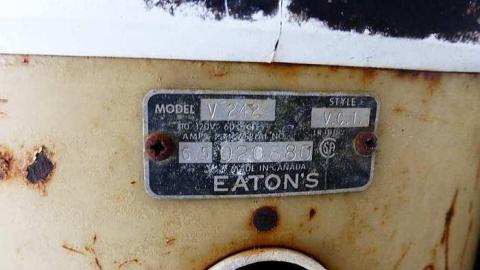 Brannigan - P1050358.jpg