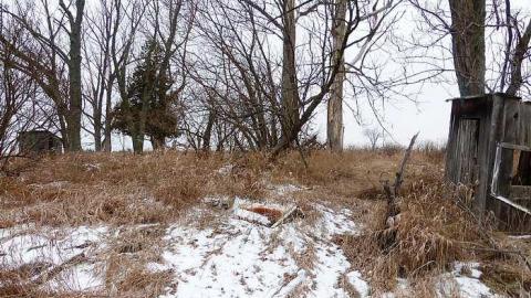 Brannigan - P1050361.jpg