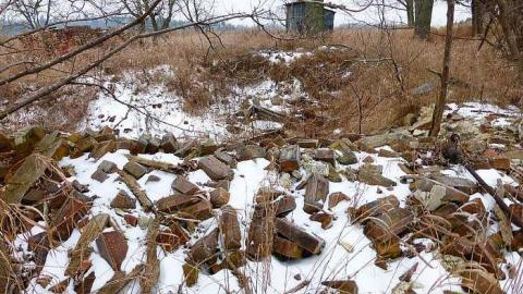 Brannigan - P1050362.jpg