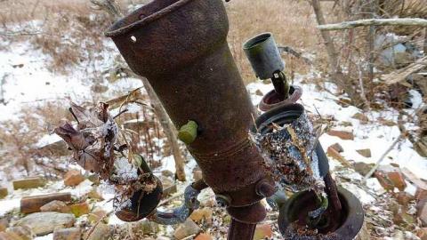 Brannigan - P1050363.jpg