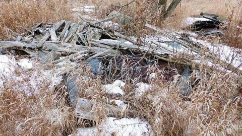 Brannigan - P1050365.jpg