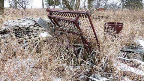 Brannigan - P1050366.jpg