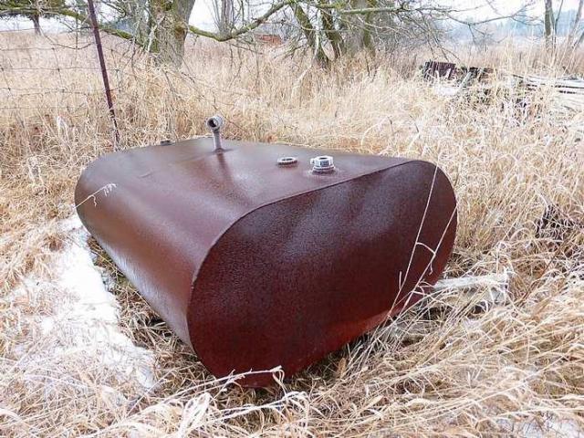 Brannigan's Daughter photo 4