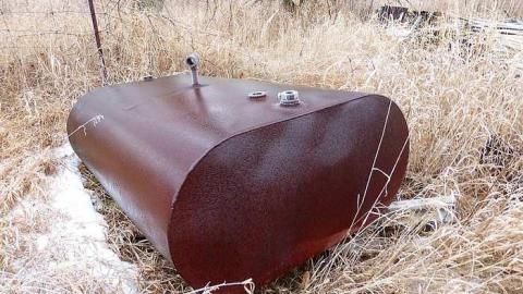 Brannigan - P1050367.jpg