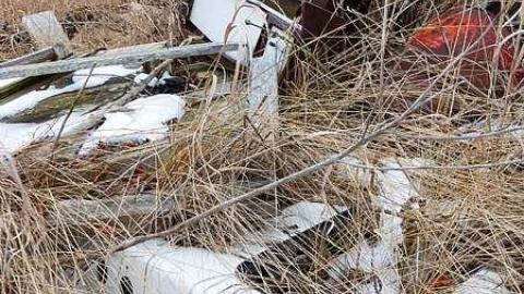 Brannigan - P1050370.jpg