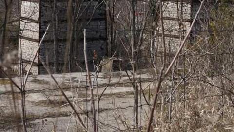 Toronto Brickworks - Toronto-Brickworks--Coby18.jpg