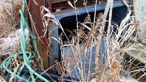 Brannigan - P1050371.jpg