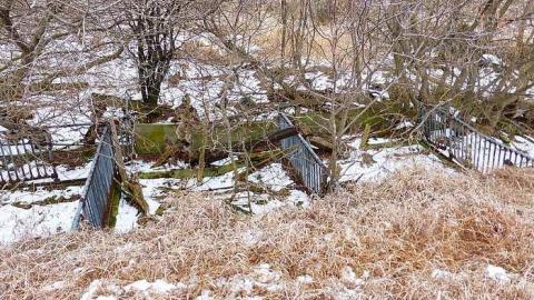 Brannigan - P1050372.jpg