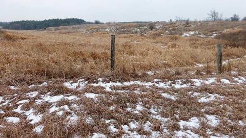 Brannigan - P1050373.jpg