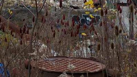 November 2015 - Barber-Paper-Mill--Georgetown767.jpg