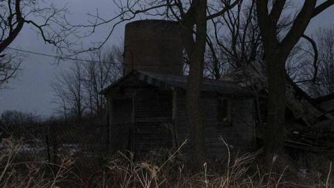 Burnt and a Dash of Collapse photo 5