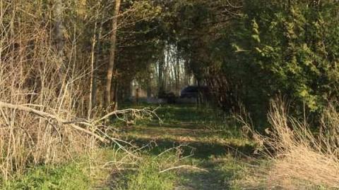 Barkey House - BarkeyMichell-House17.jpg