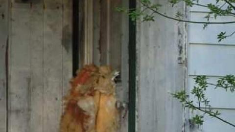 Barkey House - BarkeyMichell-House19.jpg