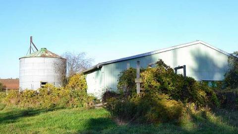 Photo from Stone House Farm