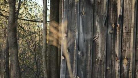 Barkey House - BarkeyMichell-House22.jpg