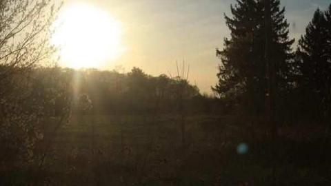 Photo from Barkey House