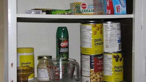 Lummiss House photo 5