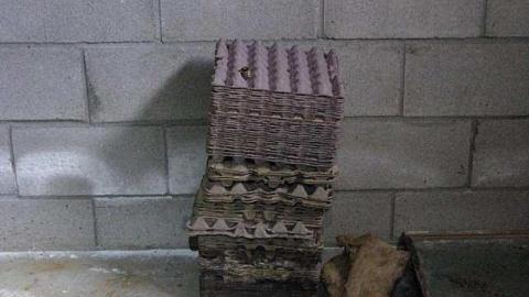 Lummiss House photo 3