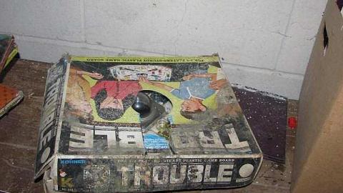 Lummiss House - 18.jpg