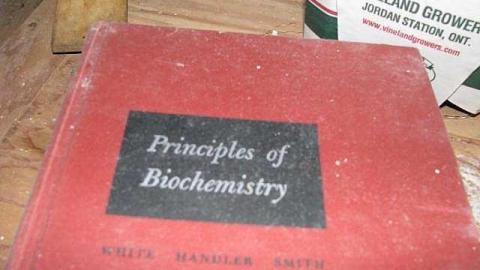 Lummiss House - 19.jpg