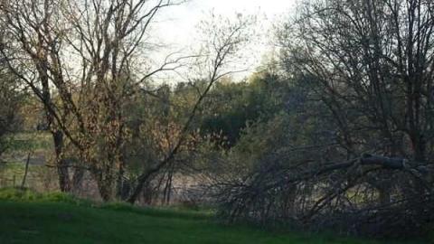 Photo from J. Turner House