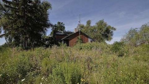 Aug 2015 - 11.800.jpg