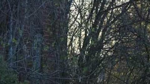 J. Turner House - IMG_4503.jpg