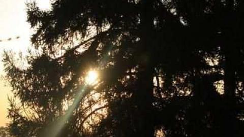 J. Turner House - IMG_4504.jpg