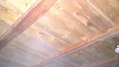 Wartime Row Houses - shed back ceiling.jpg