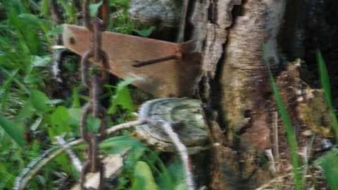 J. Turner House - IMG_4508.jpg