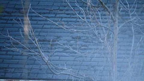 J. Turner House - IMG_4510.jpg