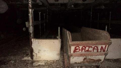 November 2015 - DSC03965.jpg