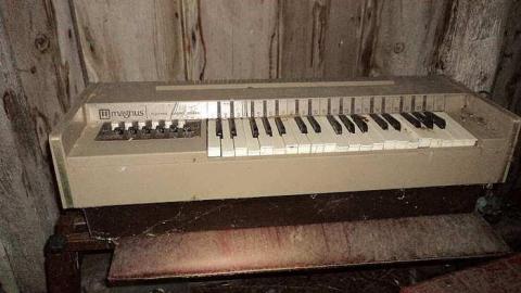 November 2015 - DSC03974.jpg