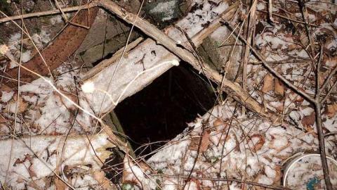 November 2015 - DSC03982.jpg