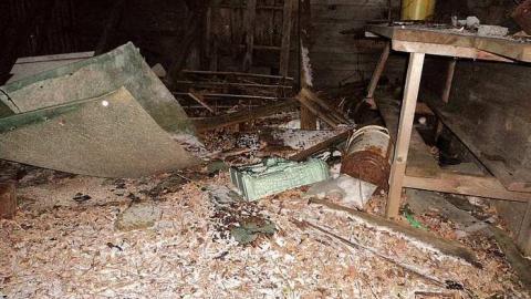 November 2015 - DSC03983.jpg