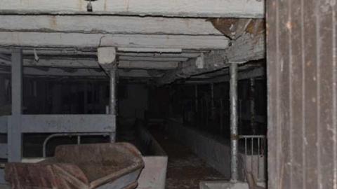 November 2015 - DSC_0606.jpg