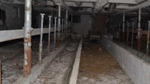 November 2015 - DSC_0607.jpg