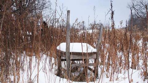 January 2016 - l-DSC_0189.jpg