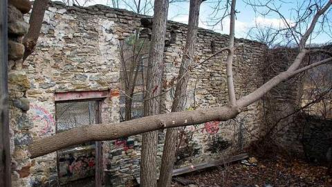 Photo from Fall 2015