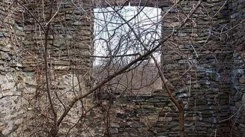 Photo from Fall 2015