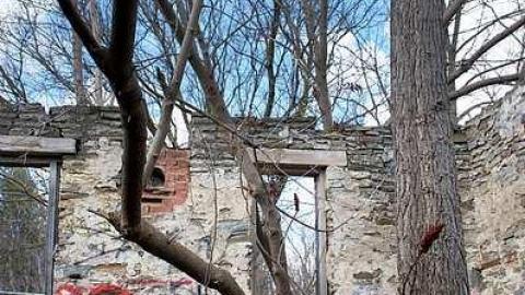 Photo from Fall 2015