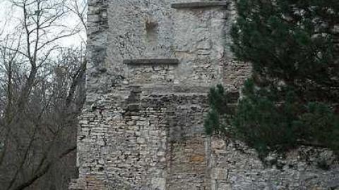 Fall 2015 - Goldie-Mill40.jpg