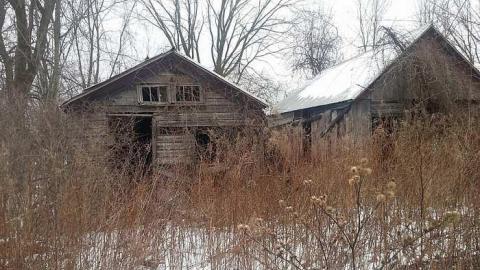 Photo from January 2016